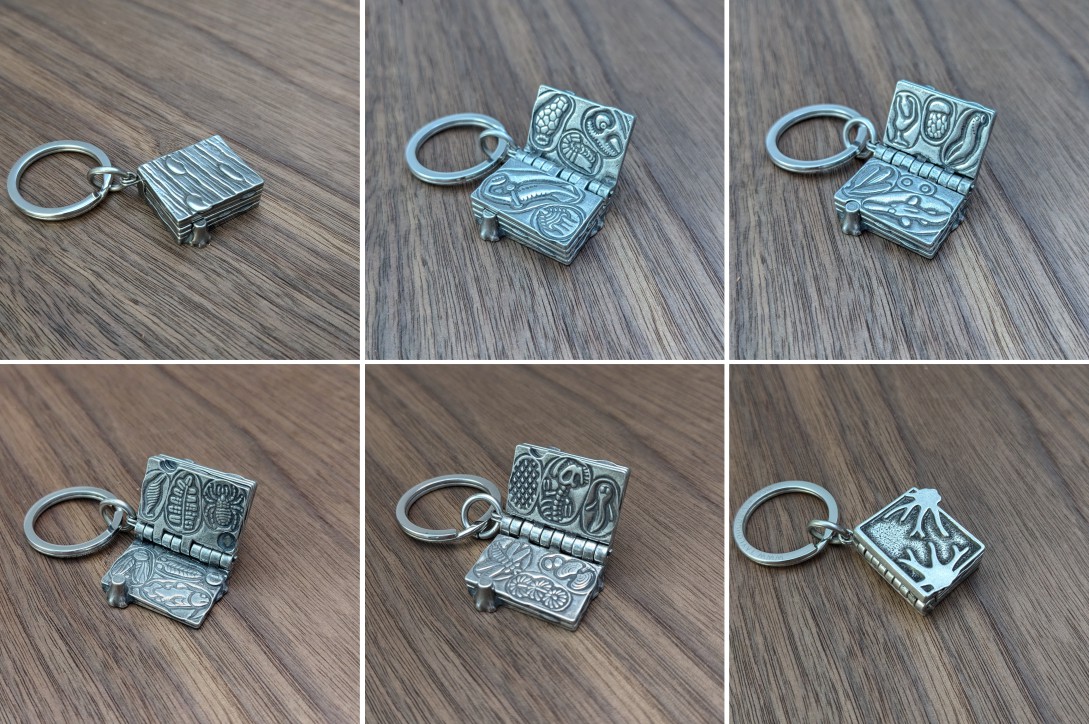 Mazon Creek fossils keychain&nbsp;preview
